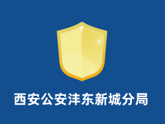 西安公安沣东新城分局