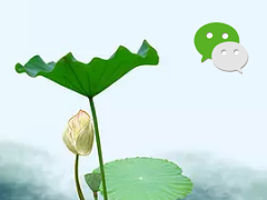 盘源科技官方订阅号启用公告