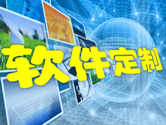 按需定制光盘管理软件的必要性