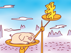 2019年的猪年肉贵很合理